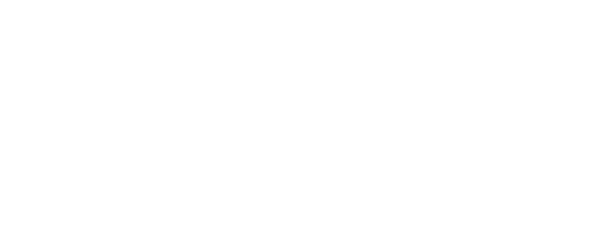 CSS Logo 22 - Thin - White2